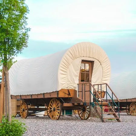 Verde Ranch Rv Resort Camp Verde Exterior photo